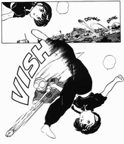 Cologne midair strike