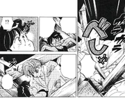 Yohyo protects Ranma