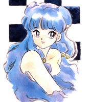 Shampoo-PDR.png