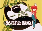 The Abduction of Akane!