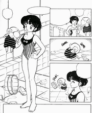 Akane and Nabiki in swimsuits - Bathhouse Battle