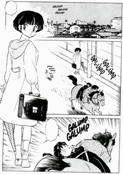 Akane sees Ranma - Way of Tea