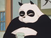 Ranma7-620x.jpg