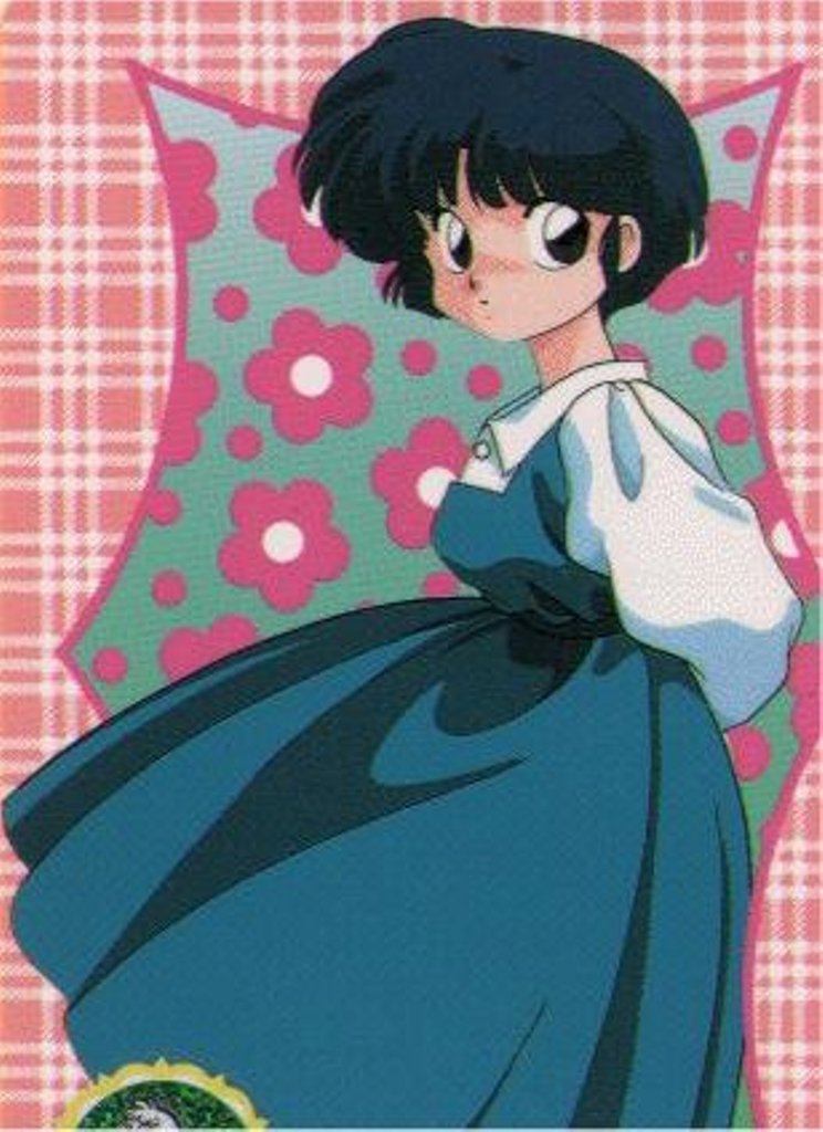 Fishing Rod Salesman, Ranma Wiki