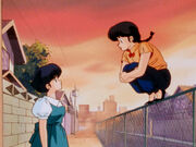 Ranma Saotome Akane Nerima 練馬区.jpg