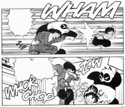 Soun and Genma attack Ranma