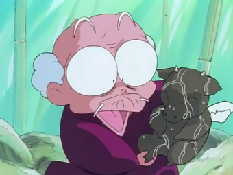 Happosai Ranma Wiki Fandom Myoga ginger is a japanese summer vegetable. happosai ranma wiki fandom