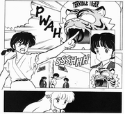 Ranma picks Akane - Goal Too Far