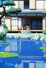 Ranma Akane 27 らんま½.jpg