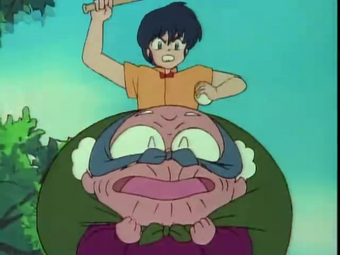 Happosai Ranma Wiki Fandom He is known as much for his perversion was as his martial arts mastery. happosai ranma wiki fandom
