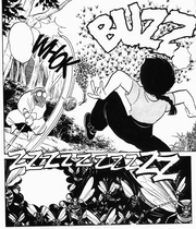 Ranma trains with Bees