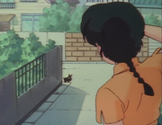 Ranma sees Black Piglet