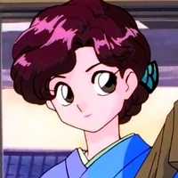 Nodoka Saotome Ranma Wiki Fandom A teenage master of supernatural martial arts , generally assumed to be sixteen years old. nodoka saotome ranma wiki fandom