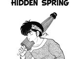 Quest for the Hidden Spring