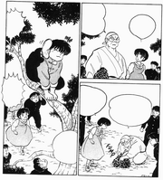 Genma explains Ranma's condition