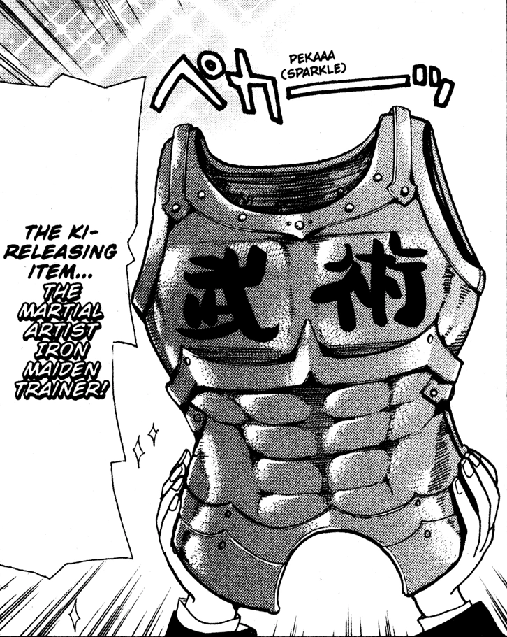 martial-arts-iron-maiden-trainer-ranma-1-2-fanon-wiki-fandom