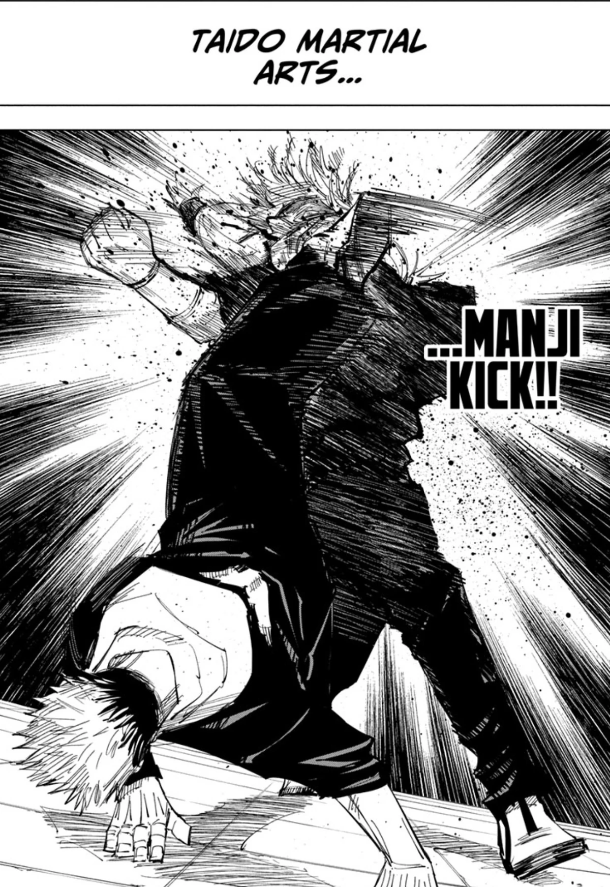 Manji Kick Ranma 1/2 Fanon Wiki Fandom