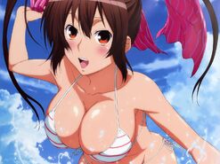 Sekirei1