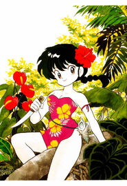 Ranma Artbook - 095