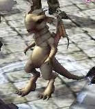 White dragon hatchling.jpg (6 KB) White Dragon Hatchling