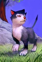 Wolf Pup Card (Evo 1)