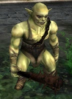 Orc Junior (Evo 1)