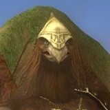 Hawk2.jpg (7 KB) Jastrzębiec evo2