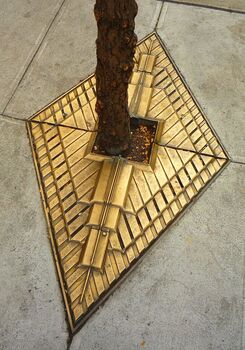 City grating used to protect planted trees