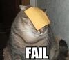 Failcat