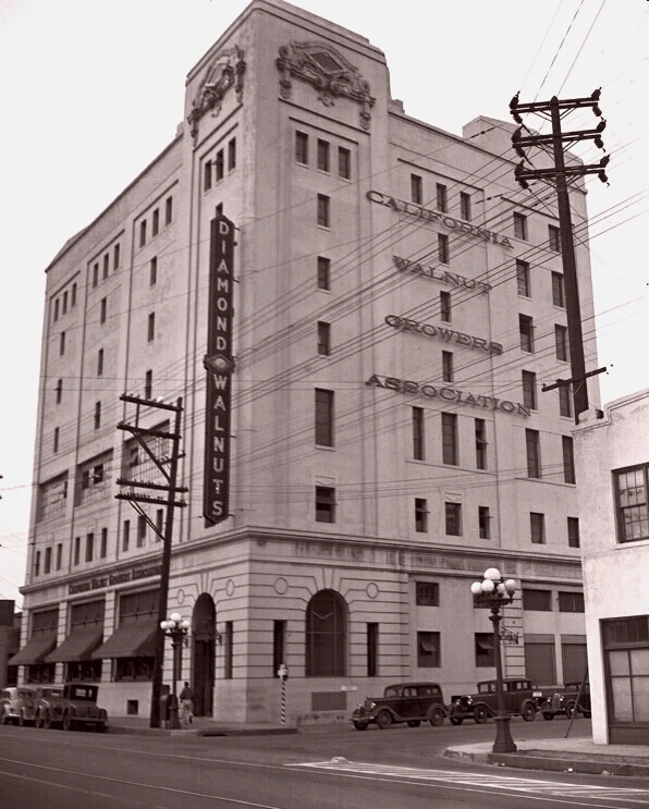 TALL BUILDING --- TOO TALL | RaptureRebornMMORPG Wiki | Fandom