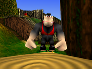 Banjo-Kazooie