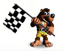 Banjo-Kazooie, RareWiki