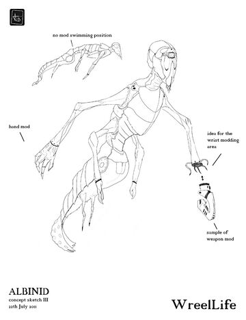Albinid-sketch3-resized.jpg