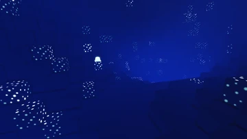 Void Biome Photo