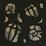 Fossil11