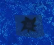 Cosmium on celestial