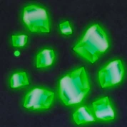 Peridot4