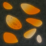 Amber Fossil10