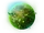 Markazia