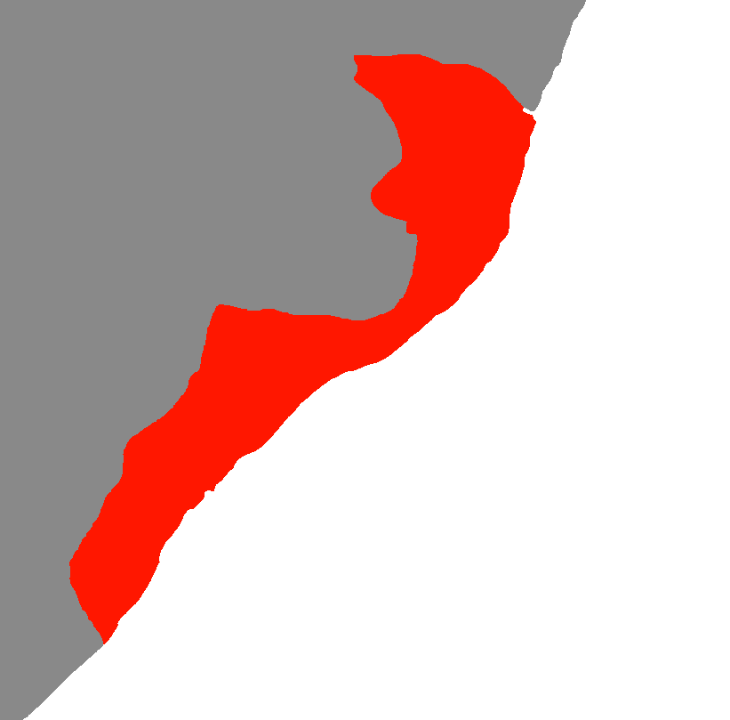 Greater glider Ratera Project Wiki Fandom