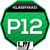 LPF Classification P12 (2023)