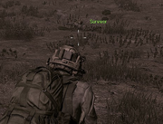 Survivor.png