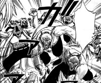 Mummy | Rave Master Wiki | Fandom