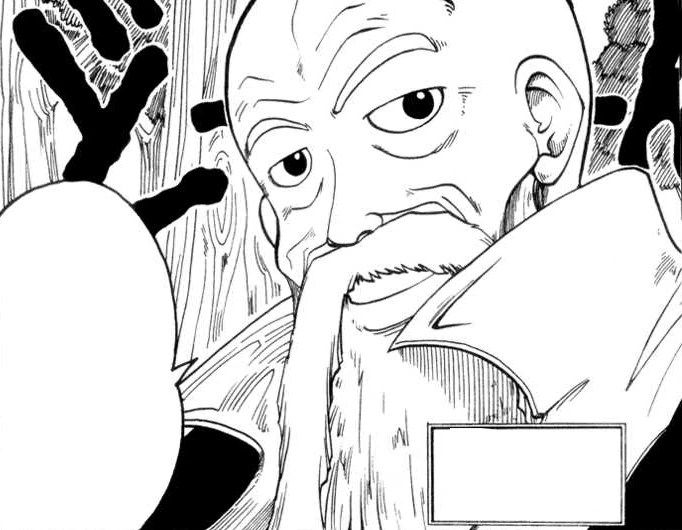 Shiba Roses Rave Master Wiki Fandom