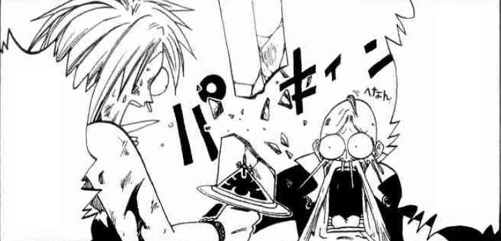 Shiba Roses Rave Master Wiki Fandom