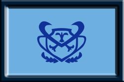 4981333-blue guardians flag.jpg