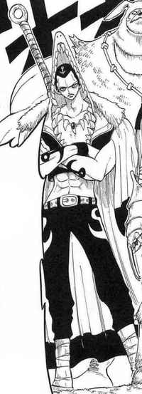 Requin's full appearance with his cape on