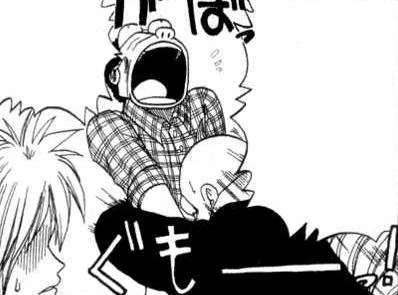 Shiba Roses Rave Master Wiki Fandom