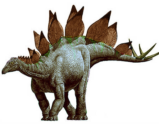 Stegosaurus.