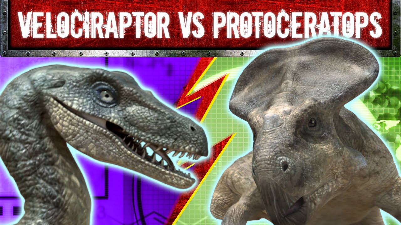 velociraptor protoceratops fighting